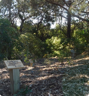 natural burial cemetery