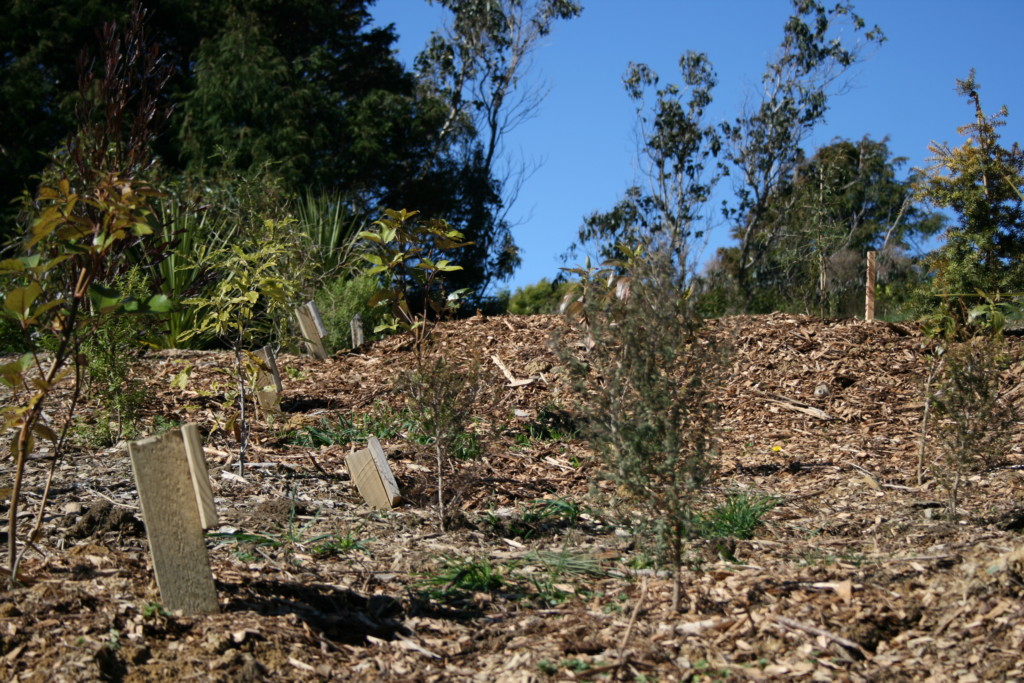 Makara Natural Burial 2016 - new plots